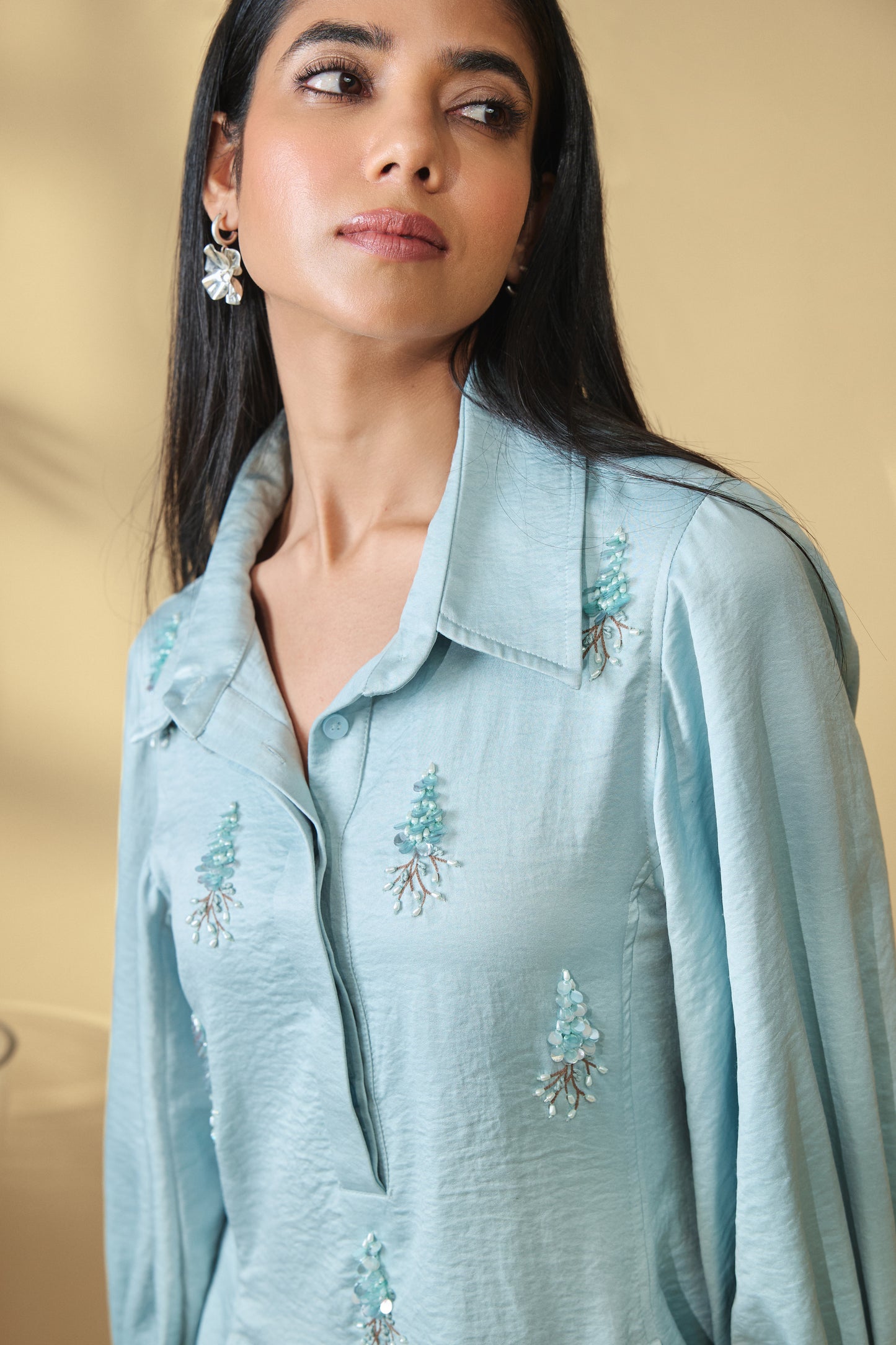Misty Fern Embellished Dress